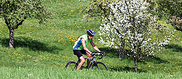Mit dem E-Bike durch den Sonnenwald in Bayern